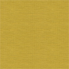 Cato Citrine